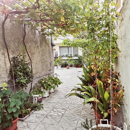 Garden Center * 포마리
